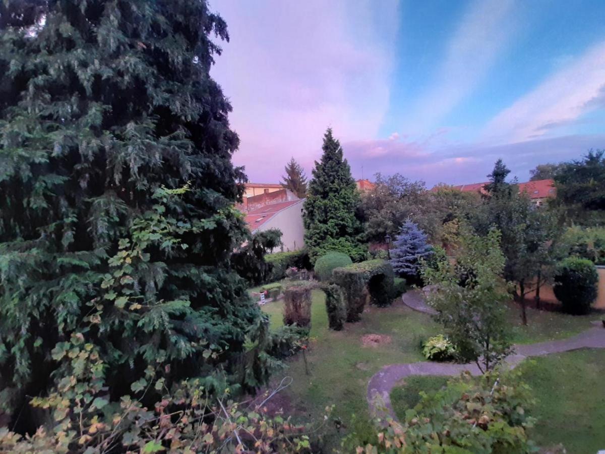 Apartamento Cocic Garden Osijek Exterior foto